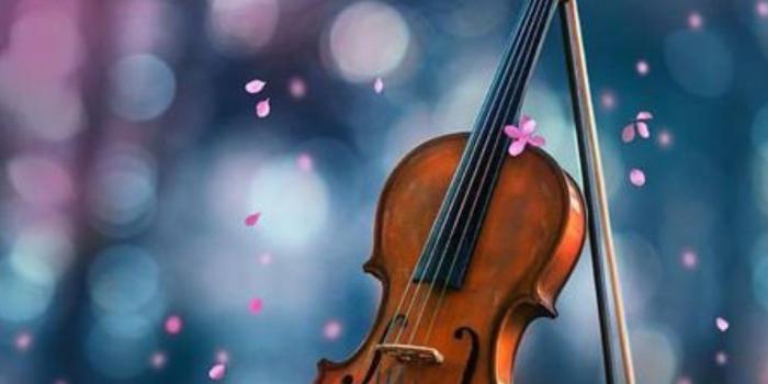 1080x1920 Wallpapers | Violin art, Cool pictures for wallpaper, Violin photography