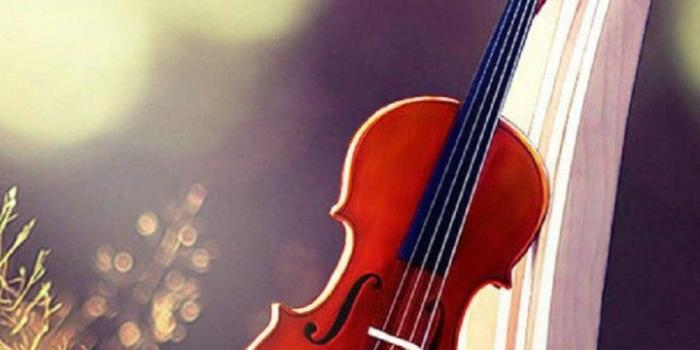 720x1280 Beautiful Violin Wallpaper | Mobile Wallpapers | HD Phone Wallpapers |  Violin, Music guitar, Violin music