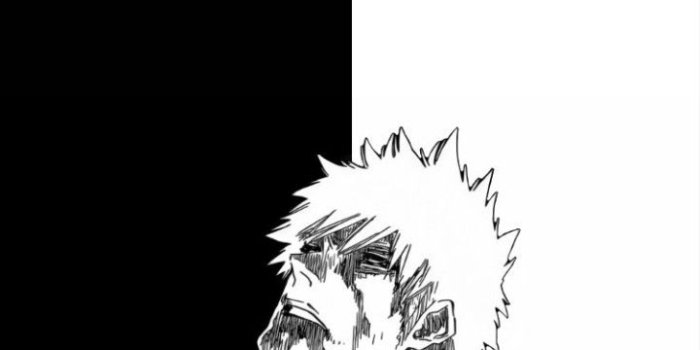 720x1280 Bleach Manga Panel Wallpapers