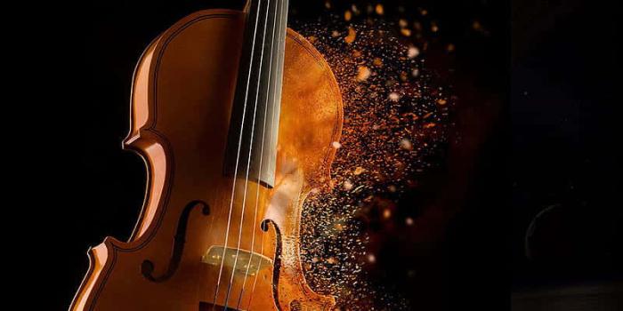 800x1600 Download Musical Instrument Violin Dispersion Effect Wallpaper | Wallpapers .com