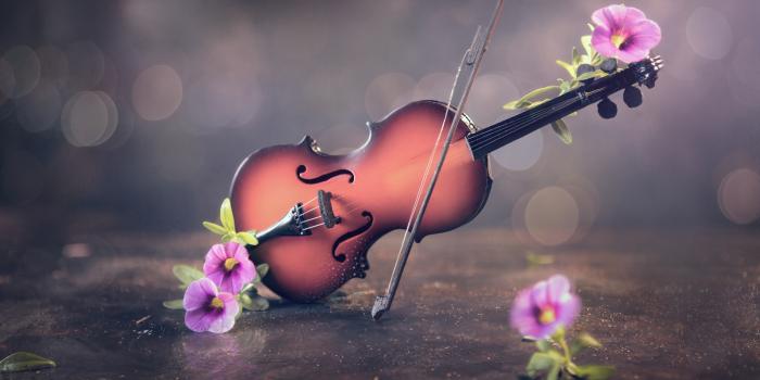 6009x4012 Music Violin 4k Ultra HD Wallpaper