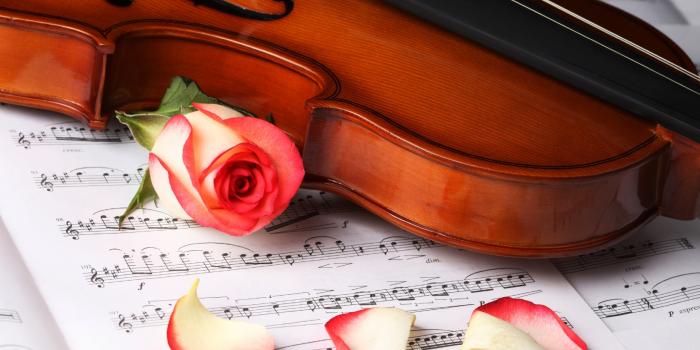 1680x1050 Violin HD Wallpaper 4 – Pure Musician