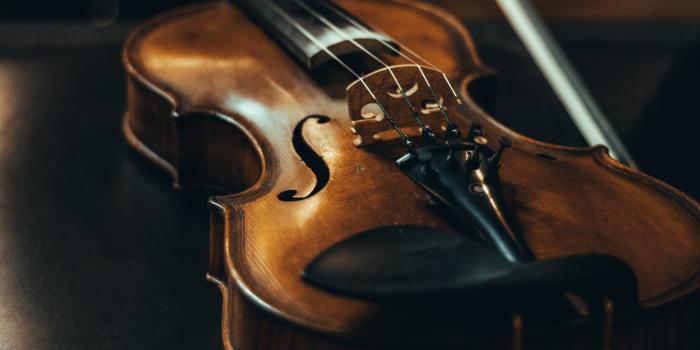 4640x6960 Violin Bow Photos, Download The BEST Free Violin Bow Stock Photos & HD  Images