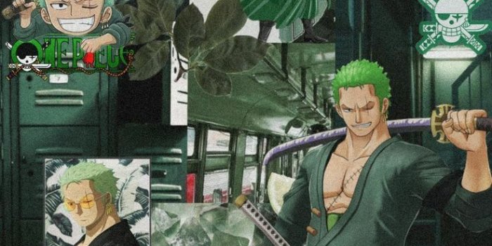 736x1307 Roronoa Zoro Wallpaper HD in 2023 | One piece wallpaper iphone, Manga anime one  piece, Roronoa zoro