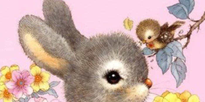 1080x1920 100+] Cute Bunny Iphone Wallpapers | Wallpapers.com