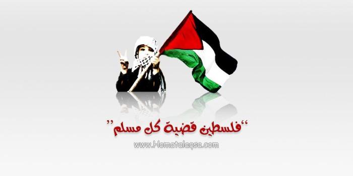 1024x768 Palestine Wallpapers