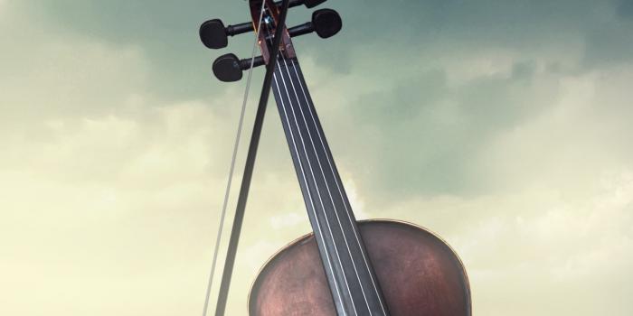 1242x2688 Violin Wallpaper 4K, Musical, Desert, Storm