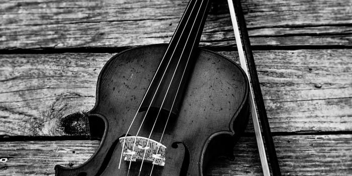 1440x2560 Violin Wallpapers Download | MobCup
