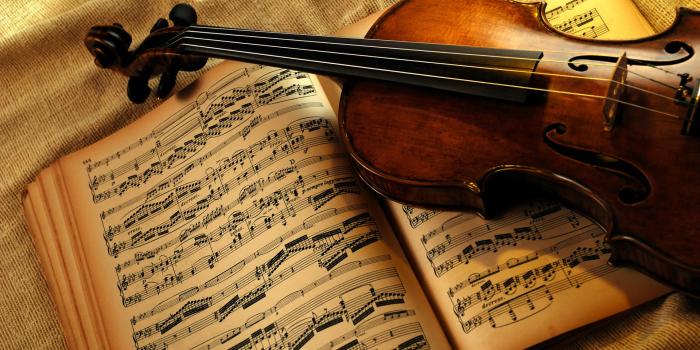 1920x1285 Download Classical Violin Mastery Wallpaper | Wallpapers.com