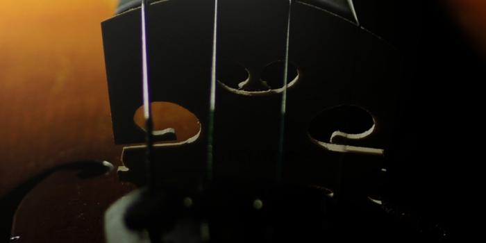 1242x2208 Violin Wallpaper for iPhone 11, Pro Max, X, 8, 7, 6 - Free Download on  3Wallpapers