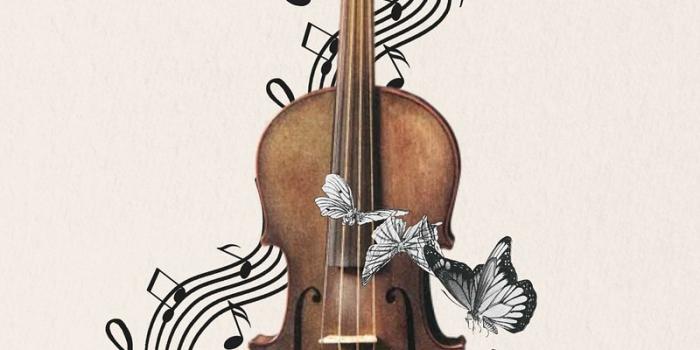 800x1422 Vintage Violin Images | Free Photos, PNG Stickers, Wallpapers & Backgrounds  - rawpixel