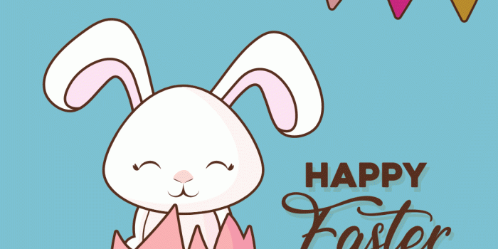 1080x1920 10 beautiful Easter wallpapers free to download - Vanity Owl