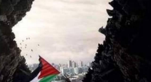 641x1280 Wallpapers Palestine