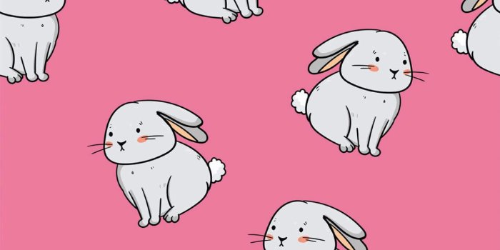 1365x2048 Pink bunny Wallpaper - Peel and Stick or Non-Pasted