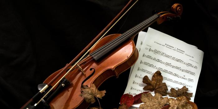 2560x1600 Music instrument violin notes love mood leaf wallpaper | 2560x1600 | 629081  | WallpaperUP
