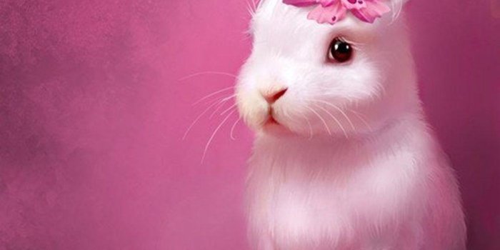 1024x932 Cute Bunny Wallpapers - Top Free Cute Bunny Backgrounds - WallpaperAccess