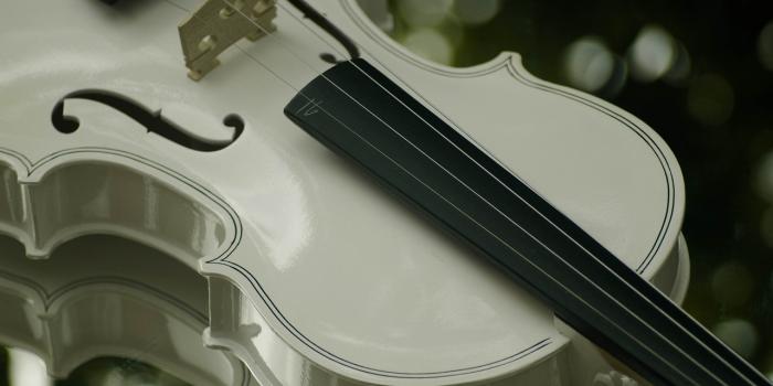1280x851 Violin Music Instrument White - Free photo on Pixabay - Pixabay