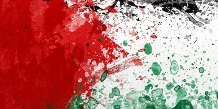 750x1334 Abstract palestine flag Wallpaper Download | MobCup