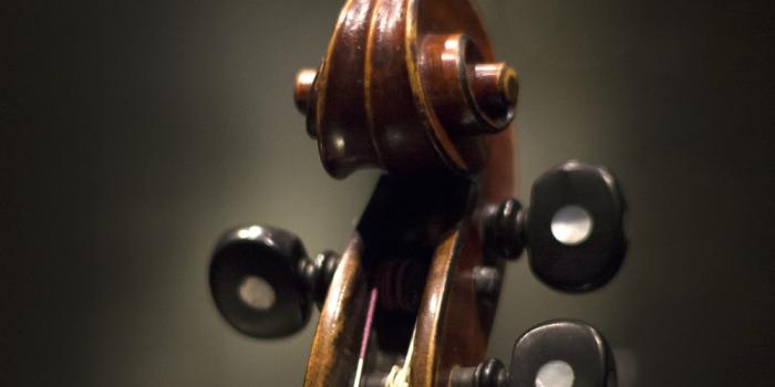 1000x1500 100+ Violin Pictures | Download Free Images on Unsplash