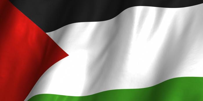 1920x1080 Palestine wallpaper | 1920x1080 | 485749 | WallpaperUP
