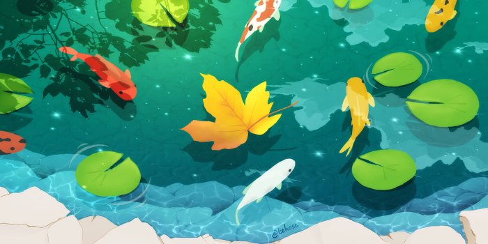 1920x1080 Koi Fishes : r/wallpapers