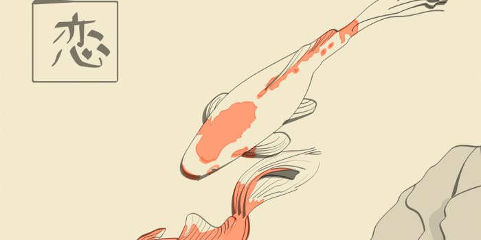 1920x1200 Download Koi Fish Animal Koi HD Wallpaper