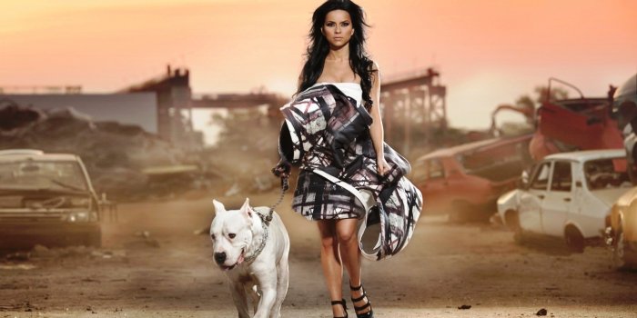 1920x1080 Pitbull Pup Wallpaper HD:Amazon.com:Appstore for Android