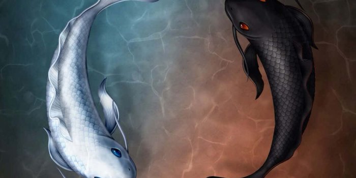 1080x1920 Download Yin Yang Koi Fish Wallpaper