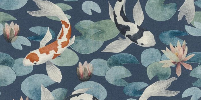 1000x1000 Advantage Nobu Blue Koi Fish Wallpaper