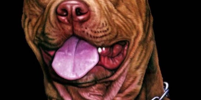 721x1280 Pitbull wallpaper by Gvozdenac - Download on ZEDGE™ | 8bfb | Pitbull  wallpaper, Pitbulls, Pitbull dog breed