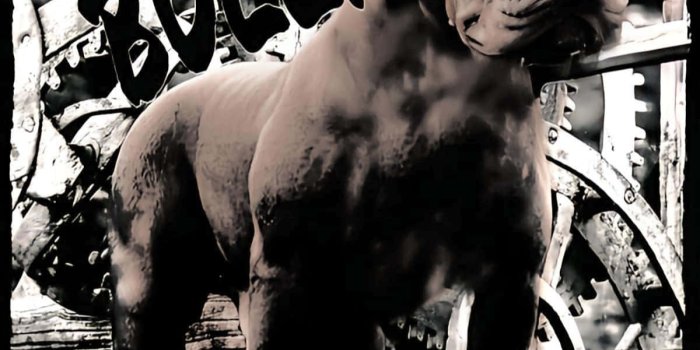 1200x1426 Download Massive Black Pitbull With Graffiti Wallpaper | Wallpapers.com