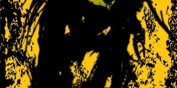 800x1570 Download A Rastafari man adorned in reggae colours. Wallpaper | Wallpapers .com