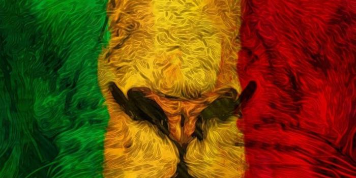 1024x1822 Aesthetic reggae lion Wallpapers Download | MobCup