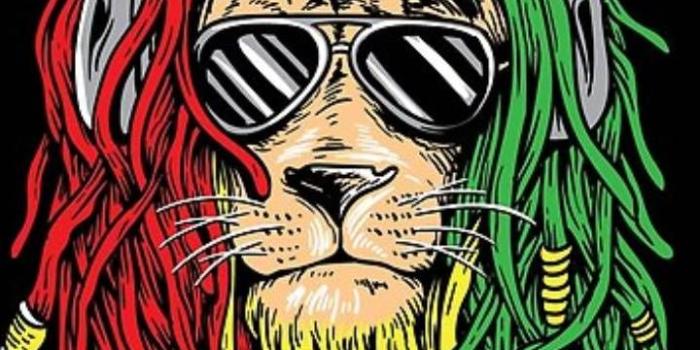 720x1280 Rasta lion wallpaper | Bob marley art, Bob marley painting, Rasta lion