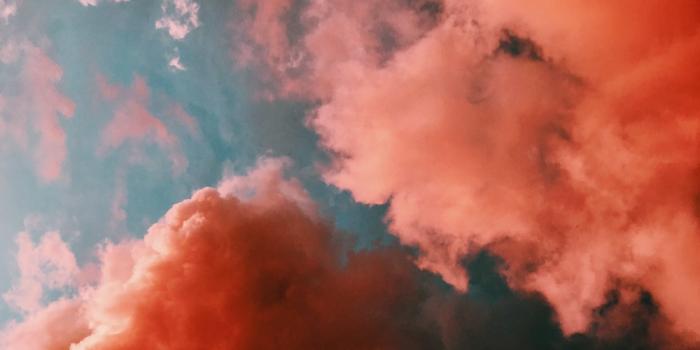 1000x1333 1K+ Red Aesthetic Pictures | Download Free Images on Unsplash