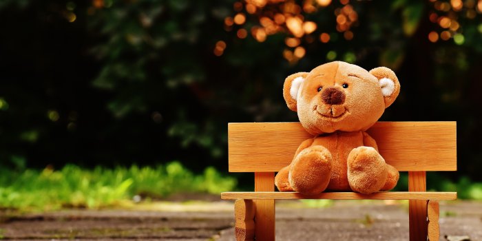 6000x4000 Teddy bear Wallpaper 4K, Park bench, Soft toy