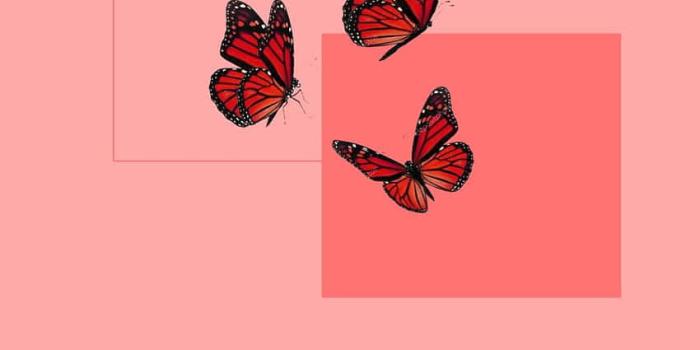 850x1511 100+] Soft Red Aesthetic Wallpapers | Wallpapers.com