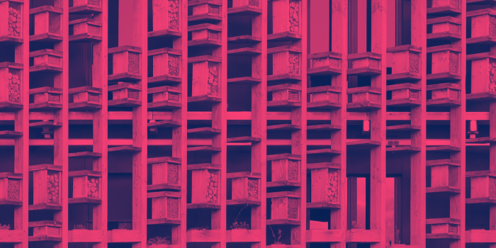 1356x668 Animal architecture: why we need to design buildings for wildlife as well  as people