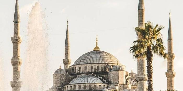 800x1733 Pin on Meshit