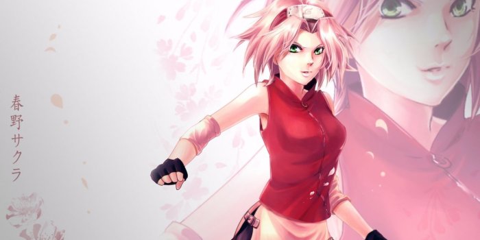 1244x700 Naruto Sakura Haruno wallpaper | 1920x1080 | 782922 | WallpaperUP