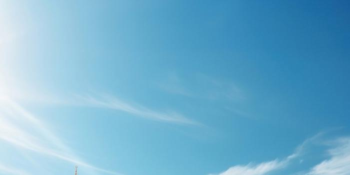 800x1422 Blue Mosque Images | Free Photos, PNG Stickers, Wallpapers & Backgrounds -  rawpixel