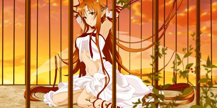 2560x1600 Sword art online yuuki asuna wallpaper | 2560x1600 | 119324 | WallpaperUP