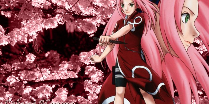 1024x768 Sakura Haruno - Wallpaper and Scan Gallery - Minitokyo