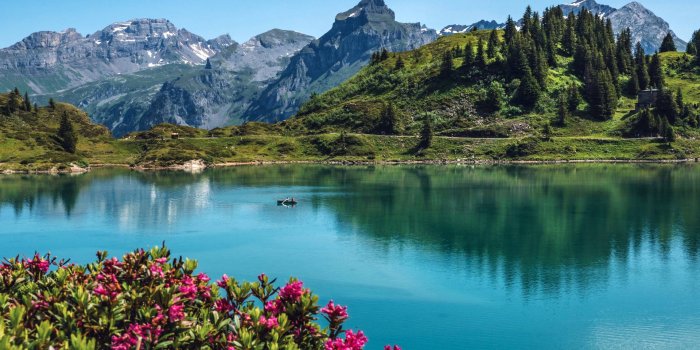 1920x1083 100+] Swiss Alps Wallpapers | Wallpapers.com