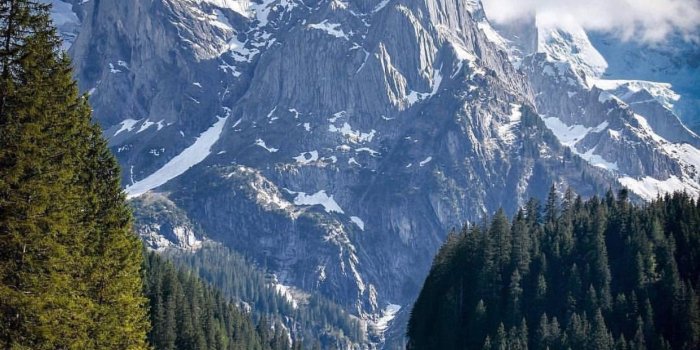 1242x1538 Swiss alps Wallpapers Download | MobCup