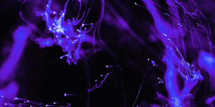 800x1422 Download Neon Purple glowing in the dark | Wallpapers.com