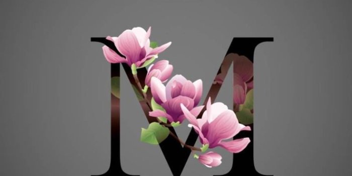 736x1308 Pinterest | Hd wallpaper girly, Black wallpaper iphone, Iphone wallpaper  girly