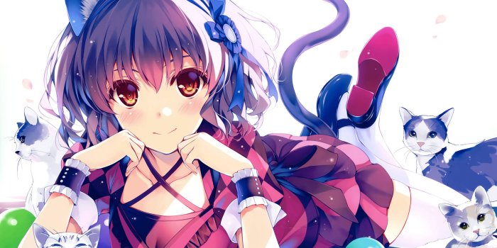 1920x1354 Download Blue-Eared Anime Cat Girl Wallpaper | Wallpapers.com