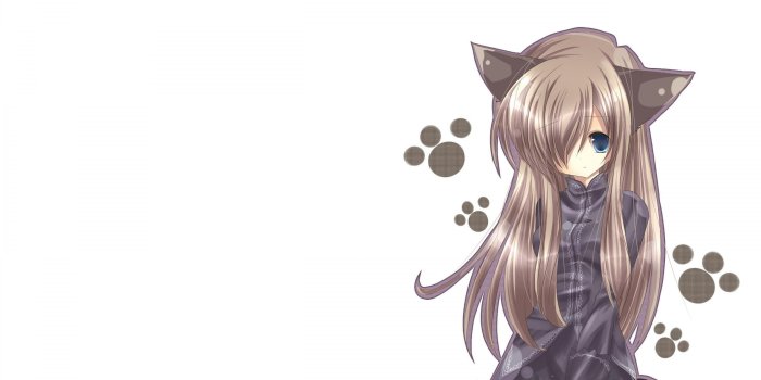 3840x2400 Cute anime cat girl Wallpapers Download | MobCup