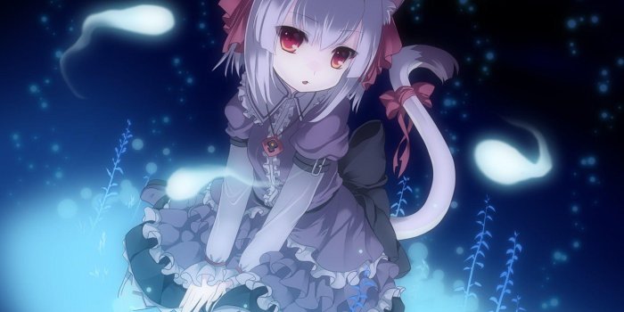 1920x1092 Anime Cat Girl HD Wallpapers